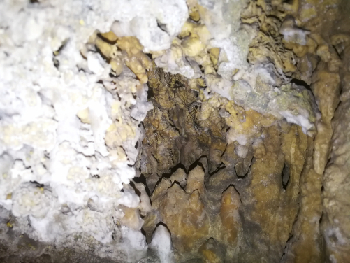 Mini Stalagmiti