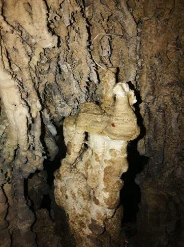 La Stalagmite